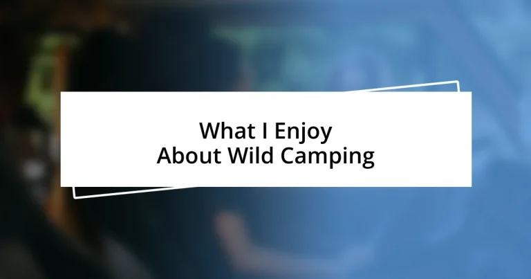 What I Enjoy About Wild Camping