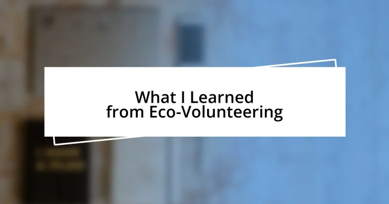 What I Learned from Eco-Volunteering