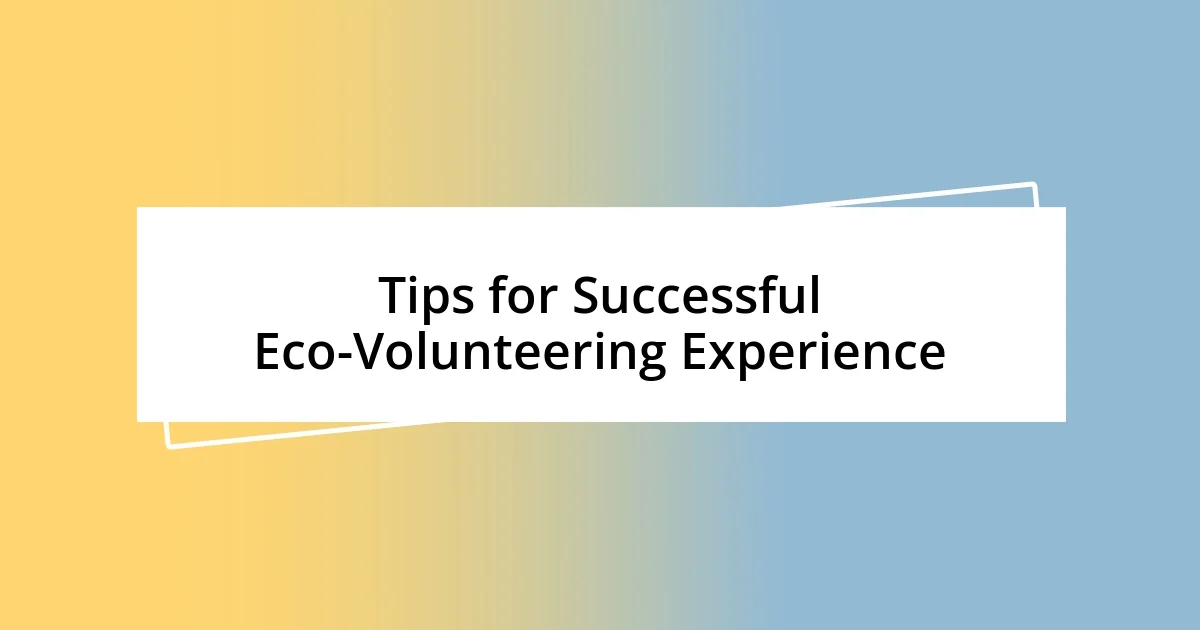 Tips for Successful Eco-Volunteering Experience